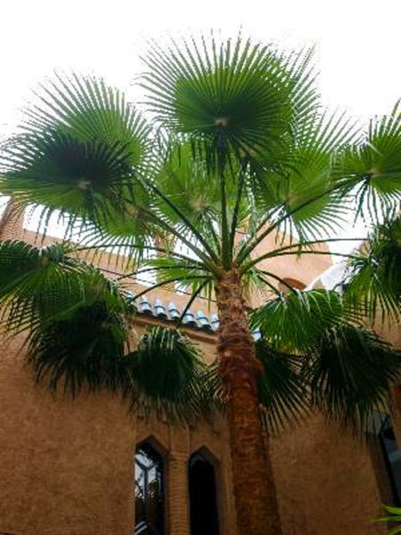 Riad Zahir Марракеш Экстерьер фото